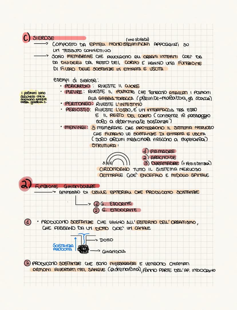 .……………….
DIFFERENZA TRA ANATOMIA E FISIOLOGIA?
•FISIOLOGIA: COME FUNCIONA
• ANATOMIA: COME SONO FATTI (strutture)
PROVOGO
4 GRUPPI DI CELWIE