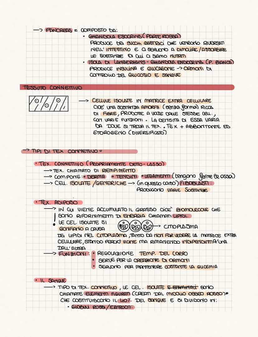 .……………….
DIFFERENZA TRA ANATOMIA E FISIOLOGIA?
•FISIOLOGIA: COME FUNCIONA
• ANATOMIA: COME SONO FATTI (strutture)
PROVOGO
4 GRUPPI DI CELWIE
