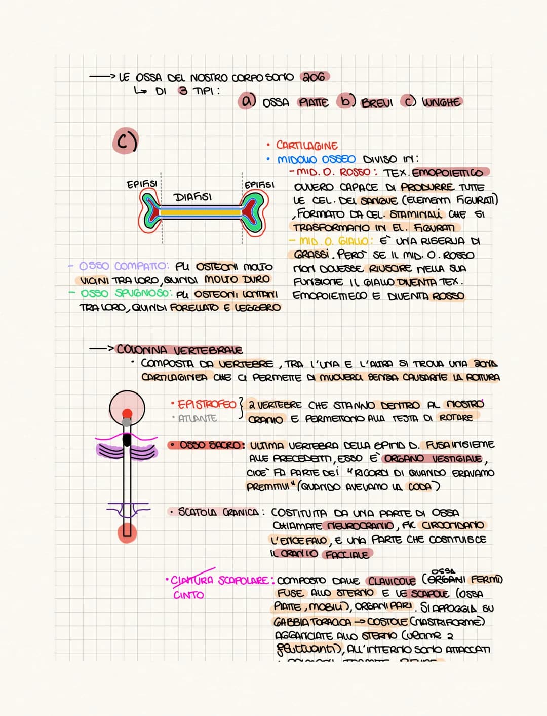 .……………….
DIFFERENZA TRA ANATOMIA E FISIOLOGIA?
•FISIOLOGIA: COME FUNCIONA
• ANATOMIA: COME SONO FATTI (strutture)
PROVOGO
4 GRUPPI DI CELWIE