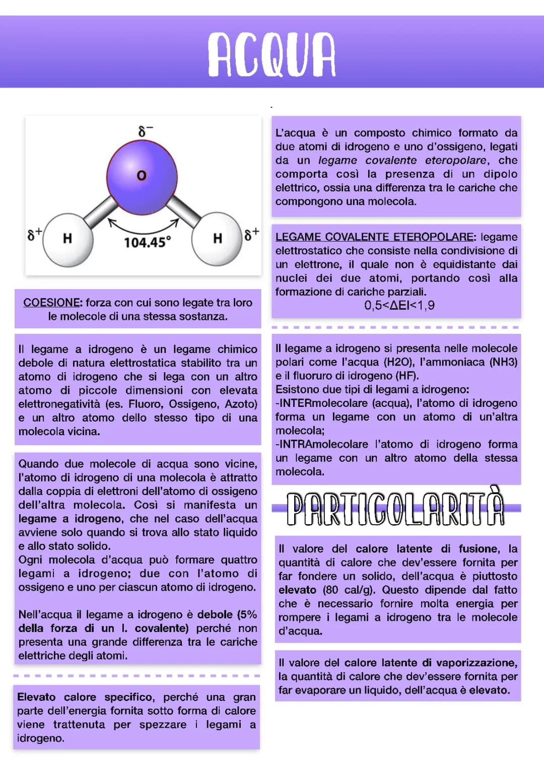 Biologia - acqua, sostanze carboniose