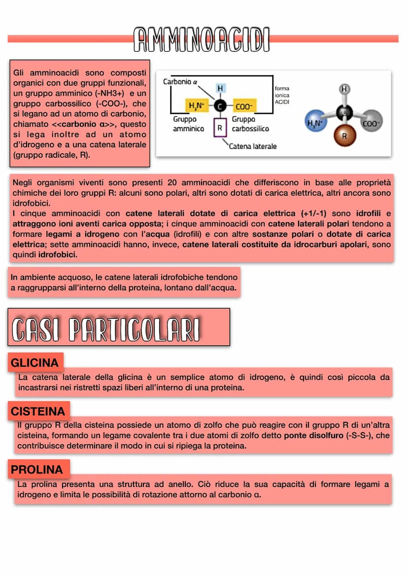 8+
H
8¯
104.45°
ACQUA
H
8+
COESIONE: forza con cui sono legate tra loro
le molecole di una stessa sostanza.
Il legame a idrogeno è un legame
