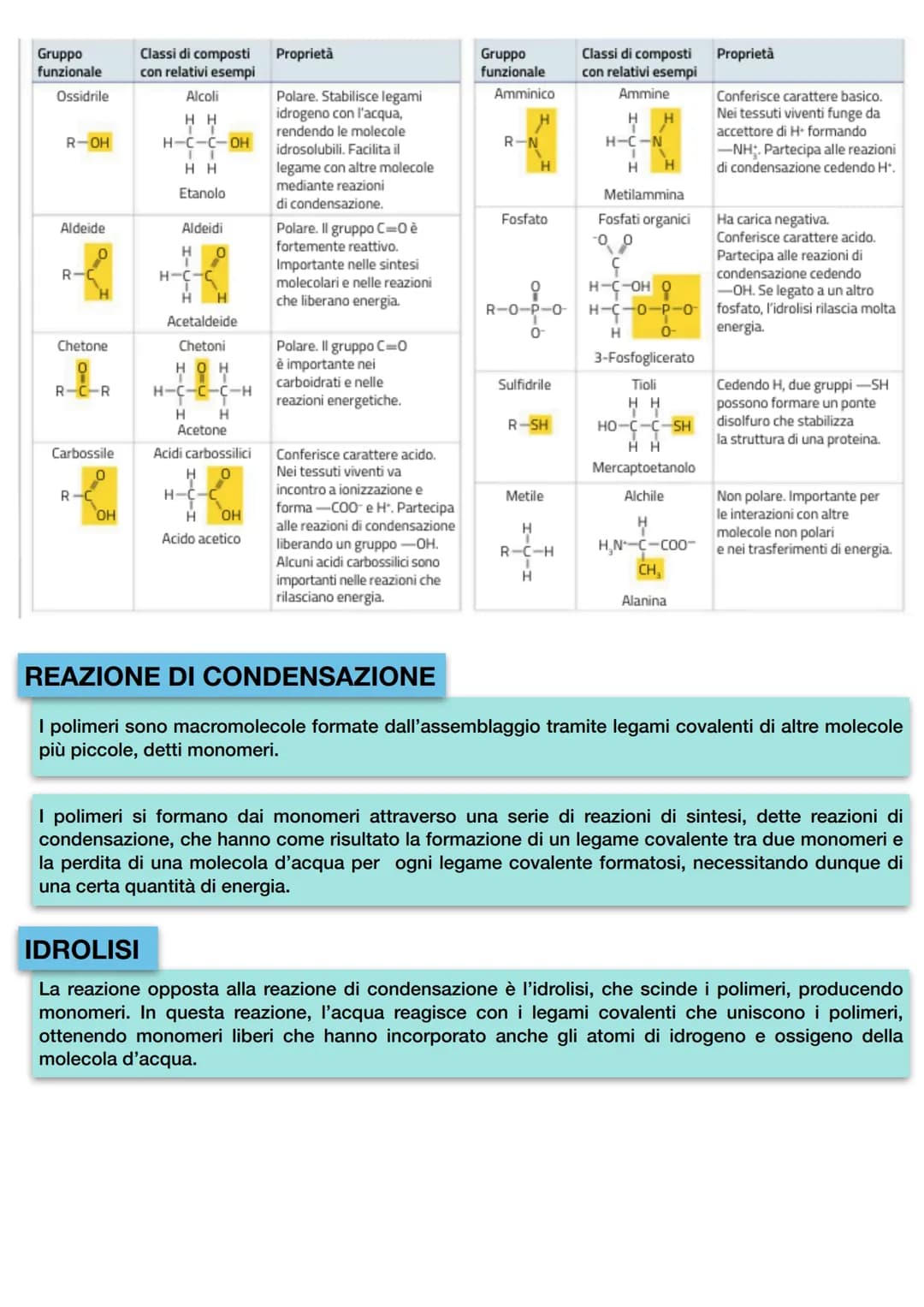 8+
H
8¯
104.45°
ACQUA
H
8+
COESIONE: forza con cui sono legate tra loro
le molecole di una stessa sostanza.
Il legame a idrogeno è un legame
