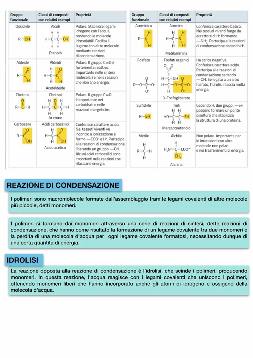 8+
H
8¯
104.45°
ACQUA
H
8+
COESIONE: forza con cui sono legate tra loro
le molecole di una stessa sostanza.
Il legame a idrogeno è un legame