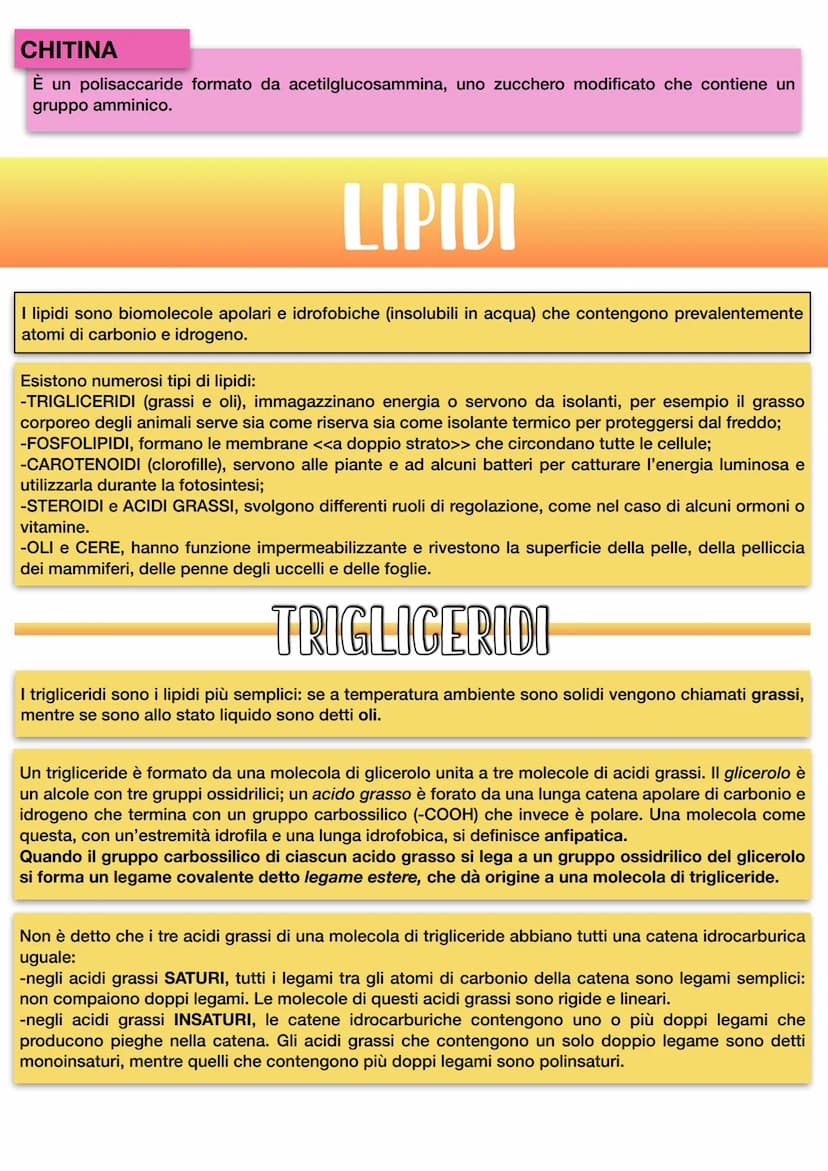 8+
H
8¯
104.45°
ACQUA
H
8+
COESIONE: forza con cui sono legate tra loro
le molecole di una stessa sostanza.
Il legame a idrogeno è un legame