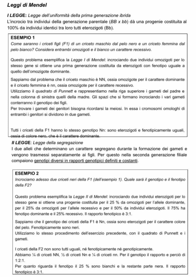 Le leggi di Mendel Leggi di Mendel
I LEGGE: Legge dell'uniformità della prima generazione ibrida
L'incrocio tra individui della generazione 
