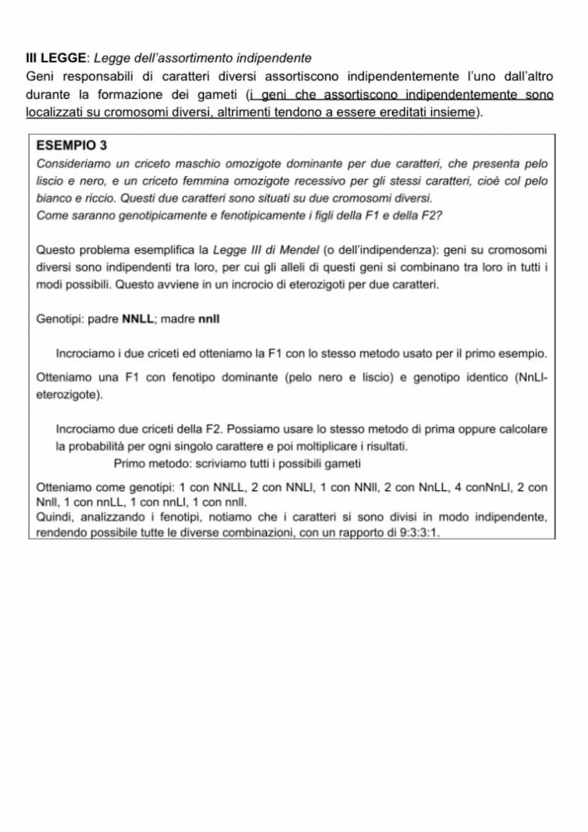 Le leggi di Mendel Leggi di Mendel
I LEGGE: Legge dell'uniformità della prima generazione ibrida
L'incrocio tra individui della generazione 