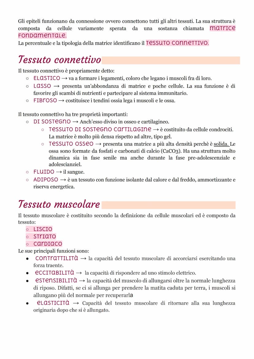 I tessuti
ISTOLOGIA: branca della medicina che studia i tessuti.
Il corpo umano ha 200 tessuti diversi ma che si possono unire in 4 gruppo p