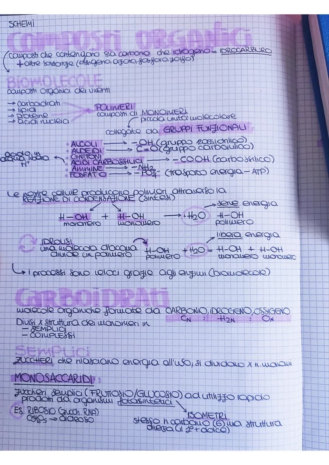 SCHEMI
JUST ORGANIG
(composti che contengono sia carbonio che idrogeno = IDROCARBURO
+ altre sostanze (ossigeno, azoto, fosfor,
BIOMOLECOLE
