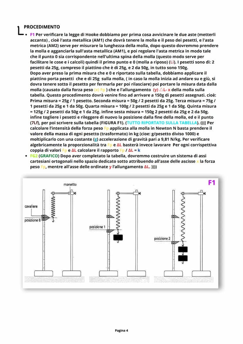 FISICA (LABORATORIO)
SCOPO
L
●
Verificare la legge di Hooke e Rappresentare in modo grafico la proporzionalità indiretta e la
reazione linea