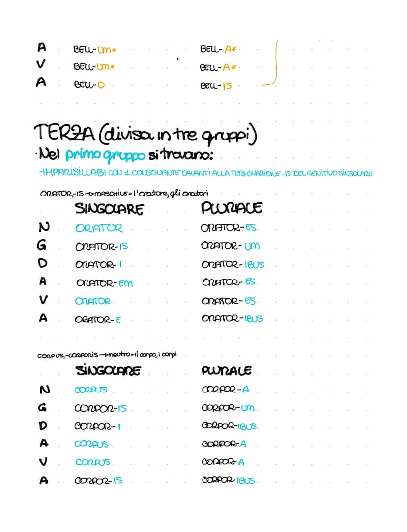 PRIMA (ROSA-AE)
NGDA > A
А
V
G
DADOR
MASCHILE
NEUTRO
SECONDA (LUPUS-1). (BELLUM,-1)
SINGOLARE.
А
V
А
200
DECLINAZIONI LATINE (1,11,111, IV, 