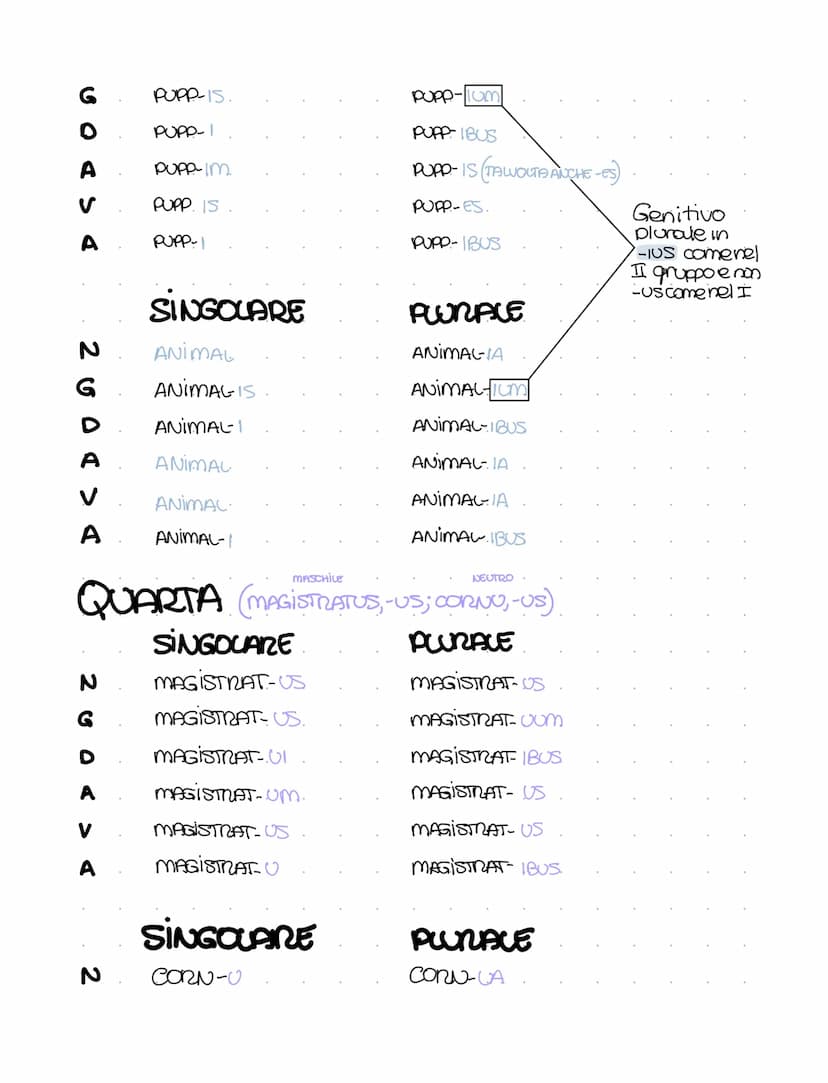 PRIMA (ROSA-AE)
NGDA > A
А
V
G
DADOR
MASCHILE
NEUTRO
SECONDA (LUPUS-1). (BELLUM,-1)
SINGOLARE.
А
V
А
200
DECLINAZIONI LATINE (1,11,111, IV, 