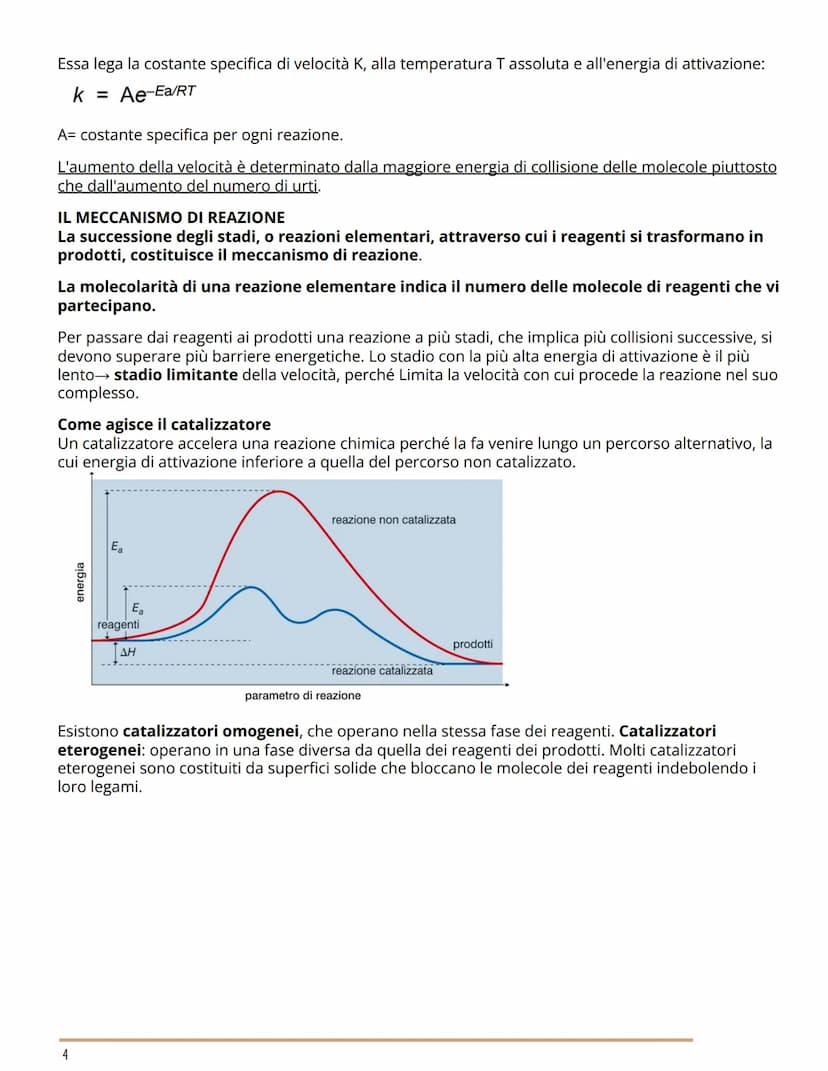 LA VELOCITÀ DI REAZIONE
CHIMICA
Lo studio di tutti gli aspetti relativi alla velocità delle trasformazioni chimiche e affrontato dalla
cinet