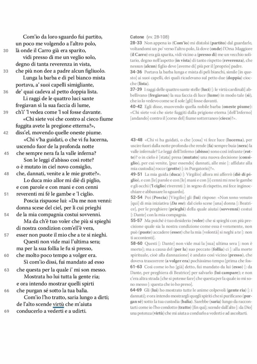 Dante - La Divina Commedia - Il Purgatorio
• Il Purgatorio è il secondo dei tre regni dell'Oltretomba cristiano
visitato da Dante nel corso 