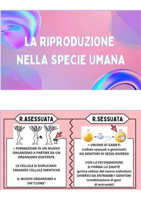 Know La riproduzione umana o apparato riproduttore  thumbnail