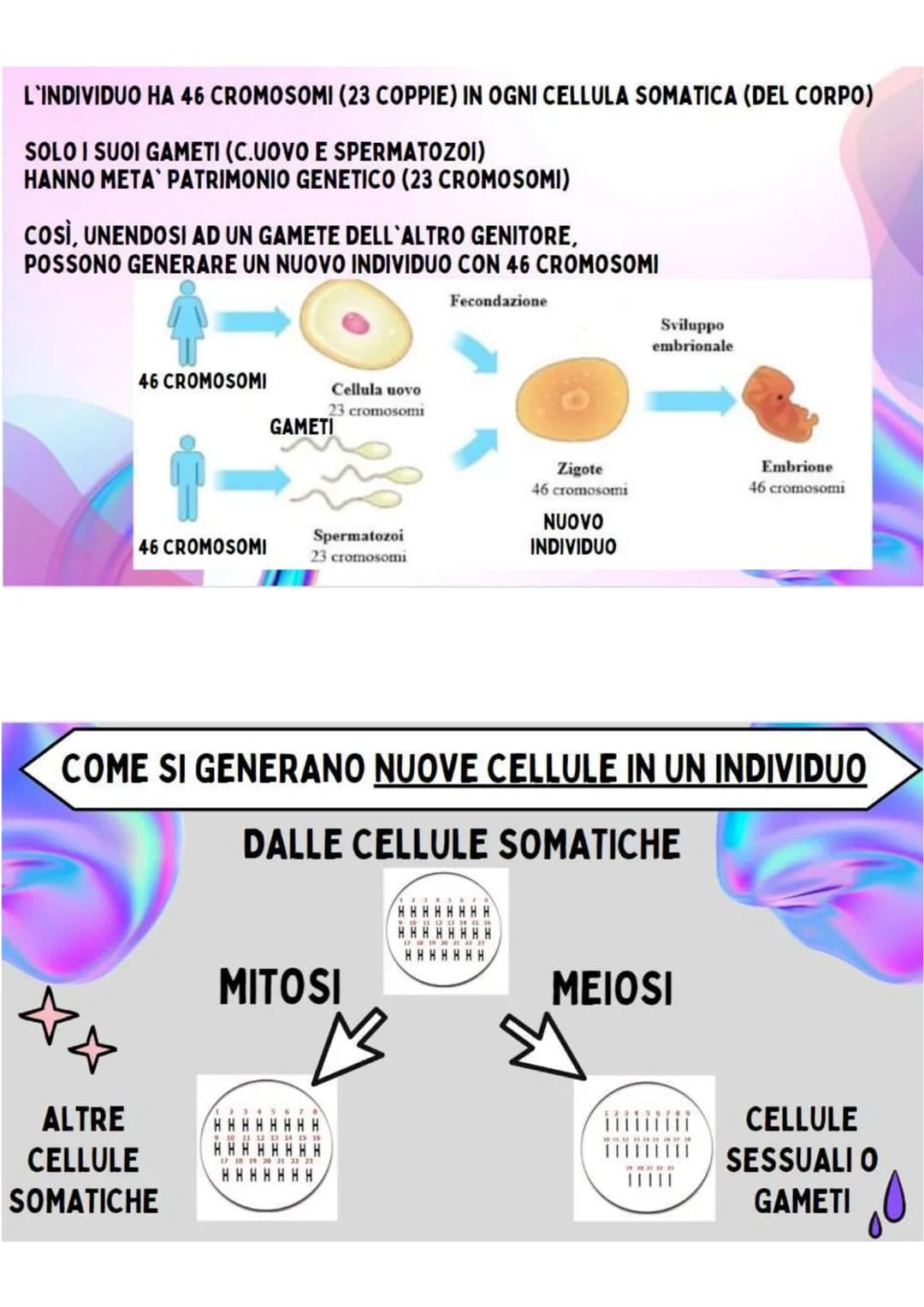 LA RIPRODUZIONE
NELLA SPECIE UMANA
R.ASESSUATA
= FORMAZIONE DI UN NUOVO
ORGANISMO A PARTIRE DA UN
ORGANISMO ESISTENTE.
LE CELLULE SI DUPLICA
