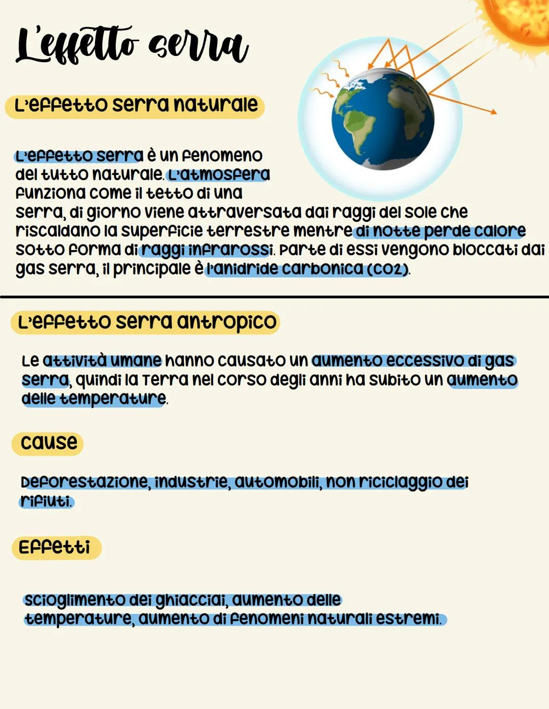 L'effetto cerra
L'effetto serra naturale
L'effetto serra è un fenomeno
del tutto naturale. L'atmosfera
funziona come il tetto di una
serra, 