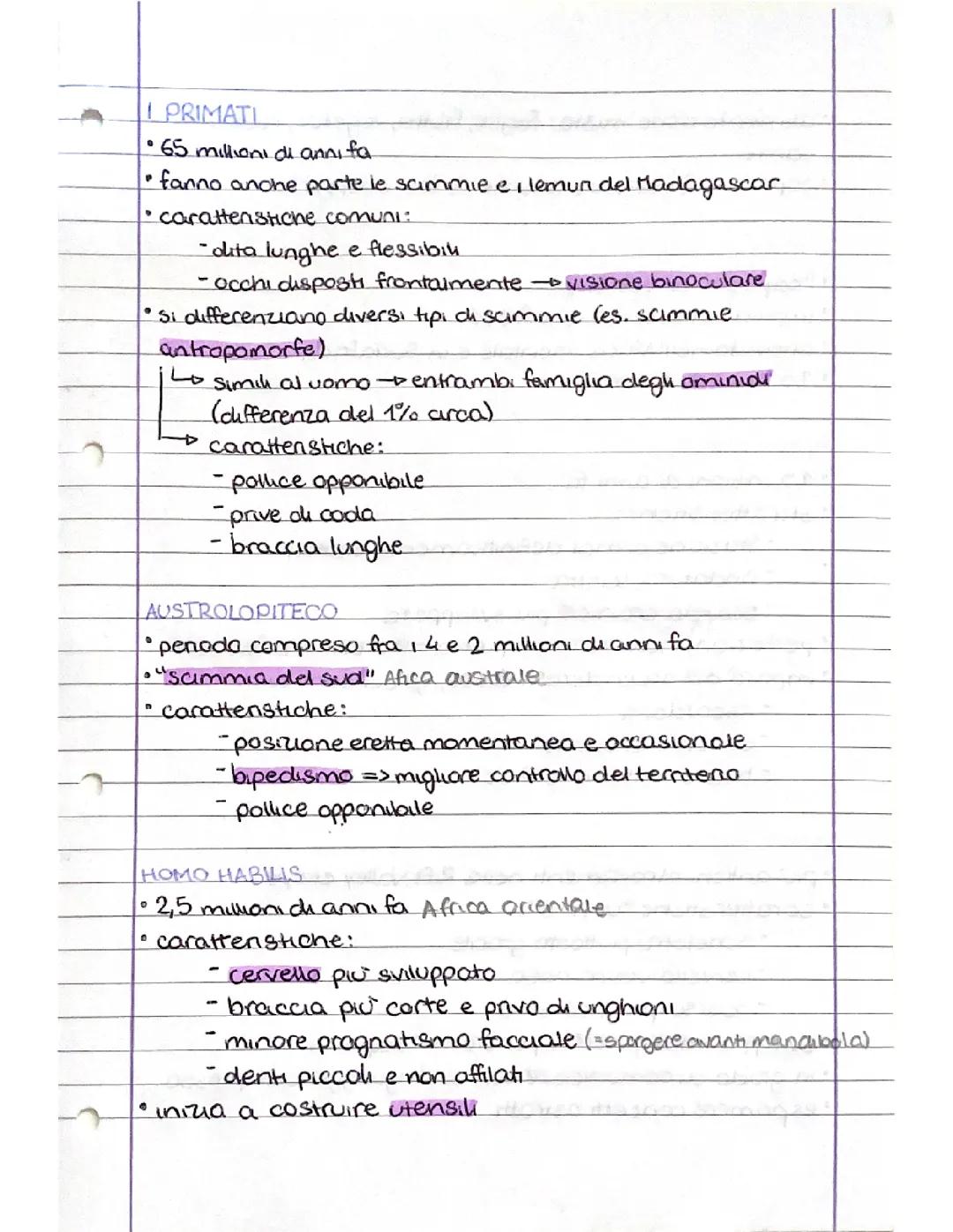 La Storia delle Specie Umane: Un Viaggio dall'Australopithecus all'Homo Sapiens