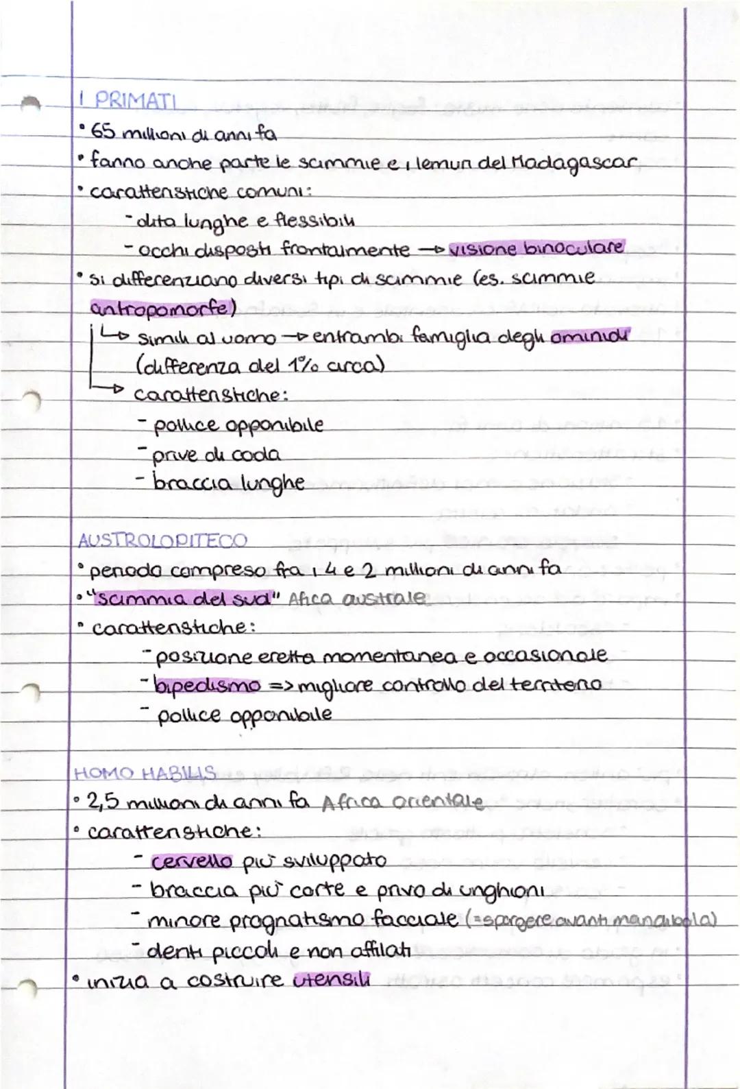 ༢
P
PRIMATL
• 65 millioni di anni fa.
• fanno anche parte le sammie e, lemur del Madagascar
• caratteristiche comuni:
-
olita lunghe e fless
