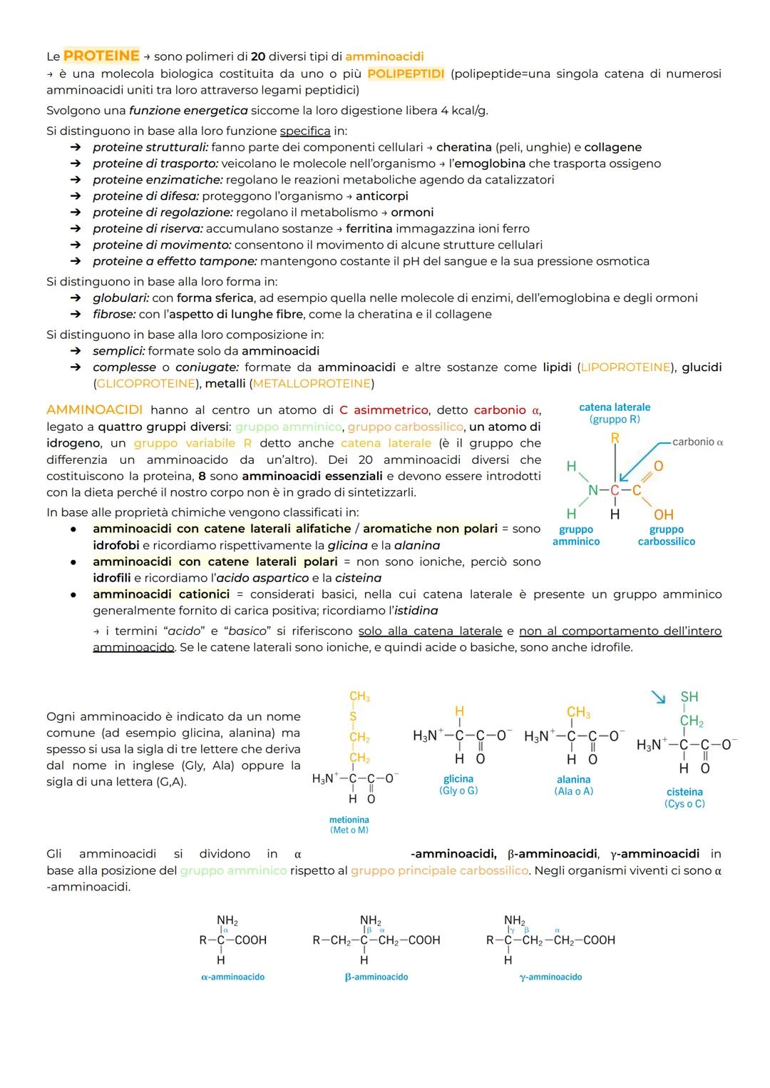 Le PROTEINE → sono polimeri di 20 diversi tipi di amminoacidi
→ è una molecola biologica costituita da uno o più POLIPEPTIDI (polipeptide un