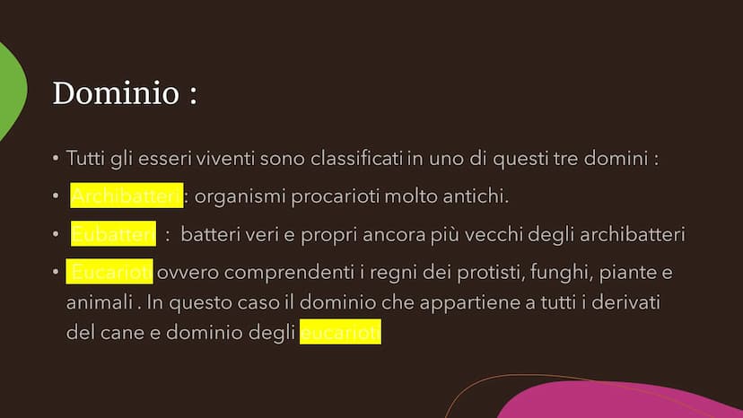 Il cane
Fare clic per inserire
testo
Fare clic per inserire testo Specie
●
• La specie del cane è il canis lupos,
quindi il cane lupo: degli