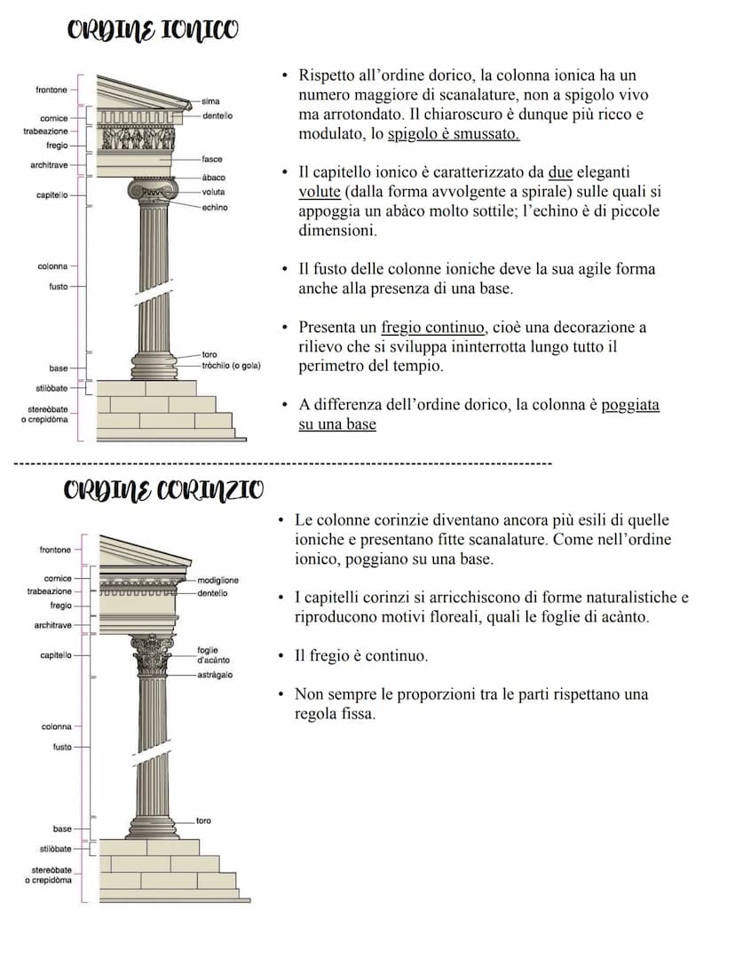 IL TEMPIO GRECO
fegio
timpano
state
trabeazione
cpidine
Il tempio greco è la struttura
architettonica più rappresentativa
dell'arte greca.
V