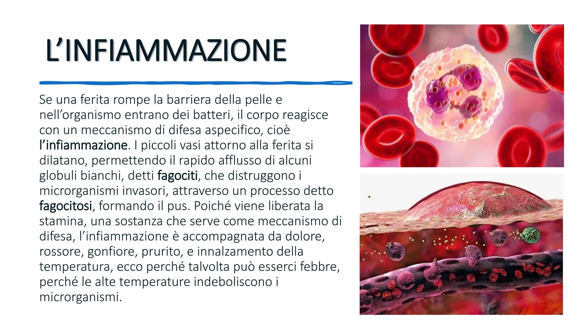 SISTEMA IMMUNITARIO # AGENTI PATOGENI

L'ambiente esterno pullula di batteri, virus e protozoi. Molti di questi
sono patogeni, cioè causano 