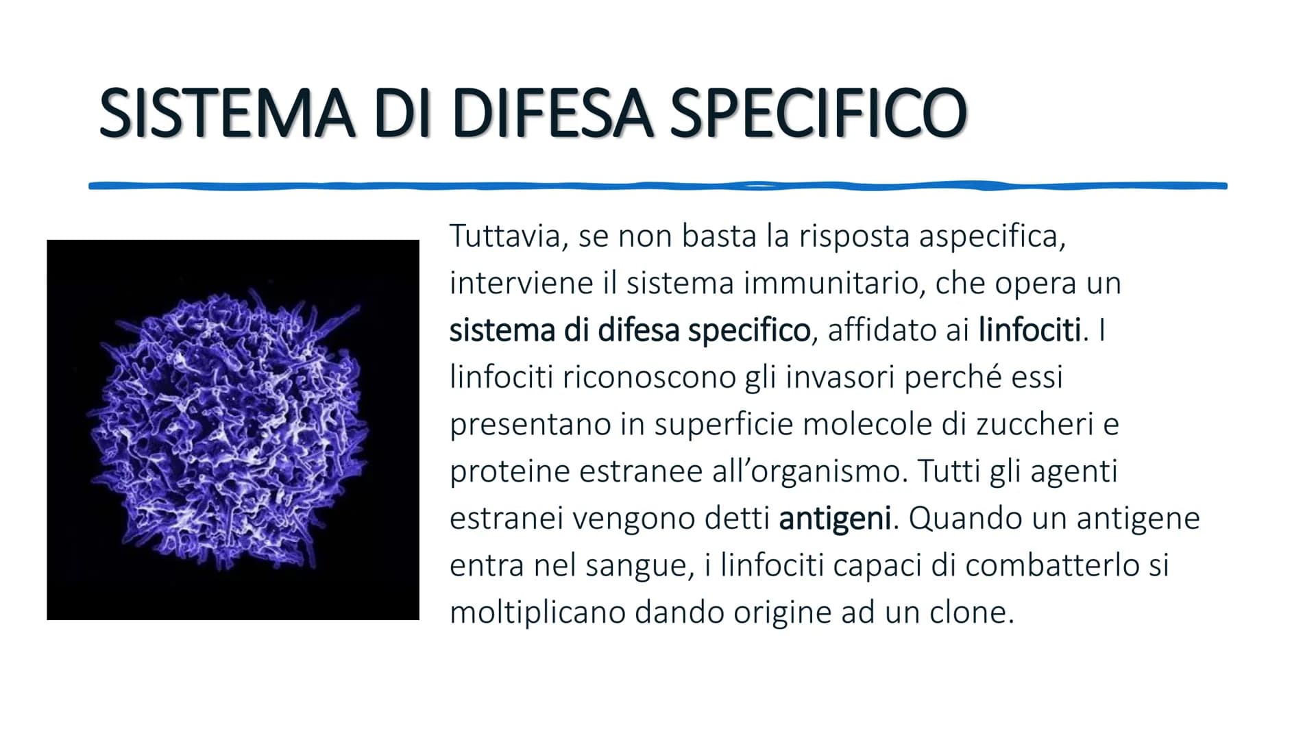 SISTEMA IMMUNITARIO # AGENTI PATOGENI

L'ambiente esterno pullula di batteri, virus e protozoi. Molti di questi
sono patogeni, cioè causano 