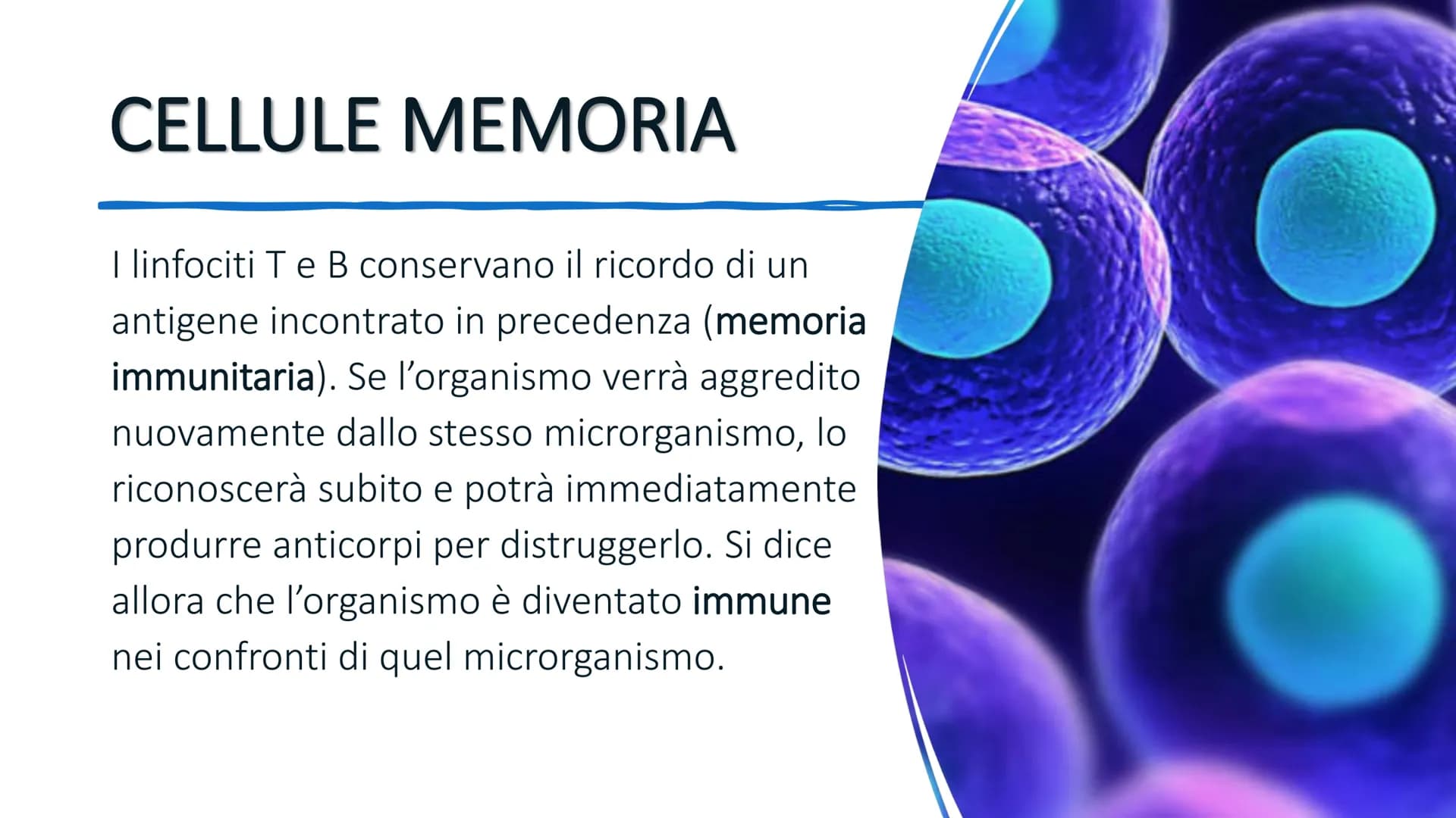 SISTEMA IMMUNITARIO # AGENTI PATOGENI

L'ambiente esterno pullula di batteri, virus e protozoi. Molti di questi
sono patogeni, cioè causano 