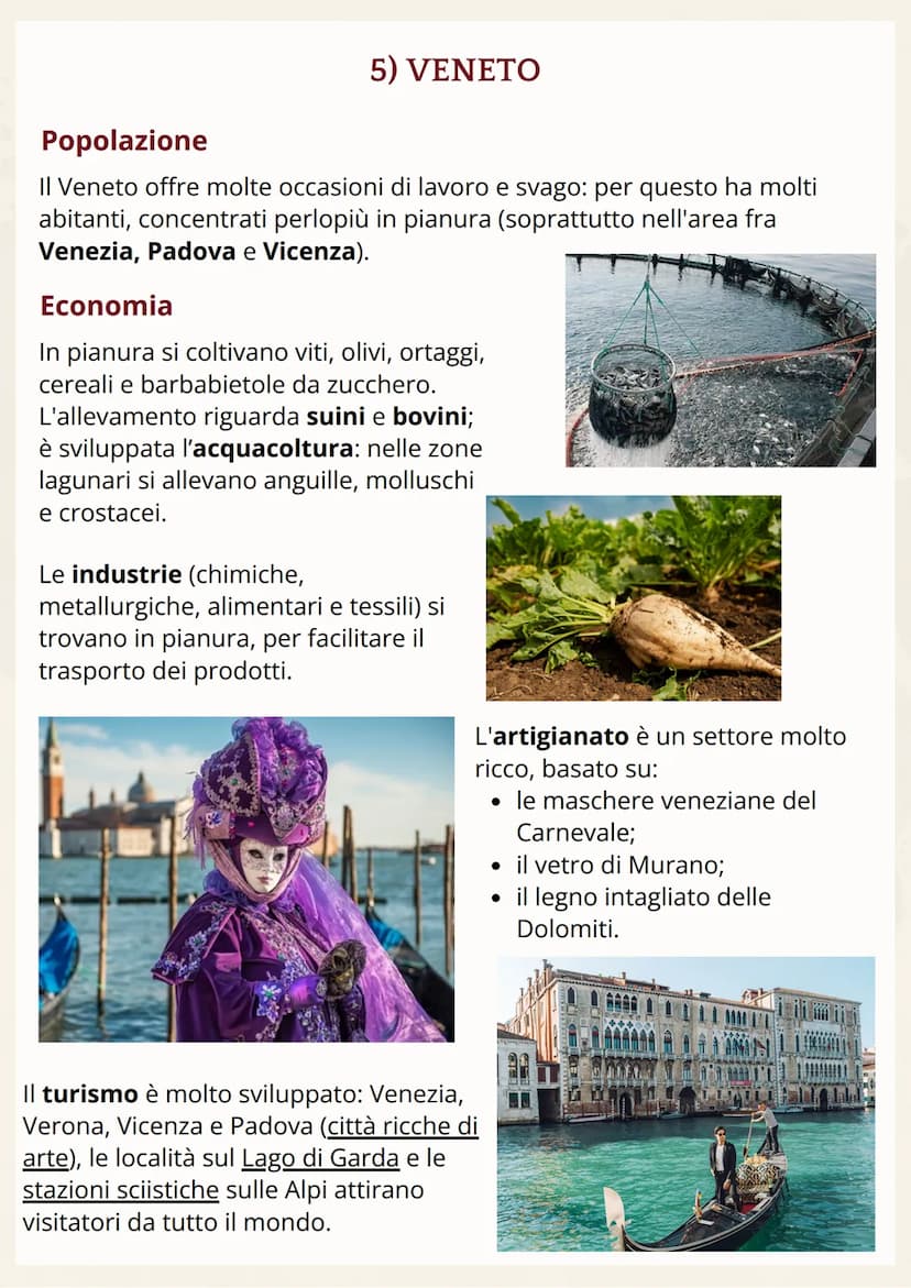 Territorio e clima
Il Veneto si trova nella parte
Nord-Est dell'Italia. Confina
a nord con il Trentino-Alto
Adige e l'Austria, a est col
Fri