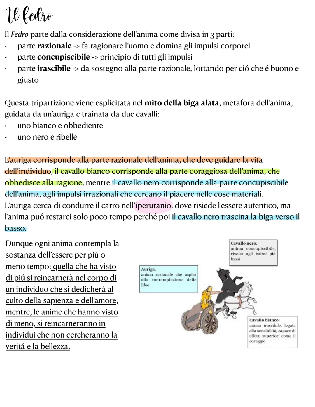 La teoria delle idee
La teoria delle idee nasce dal concetto di scienza: infatti, in antitesi ai sofisti, Platone
ritiene che la scienza deb