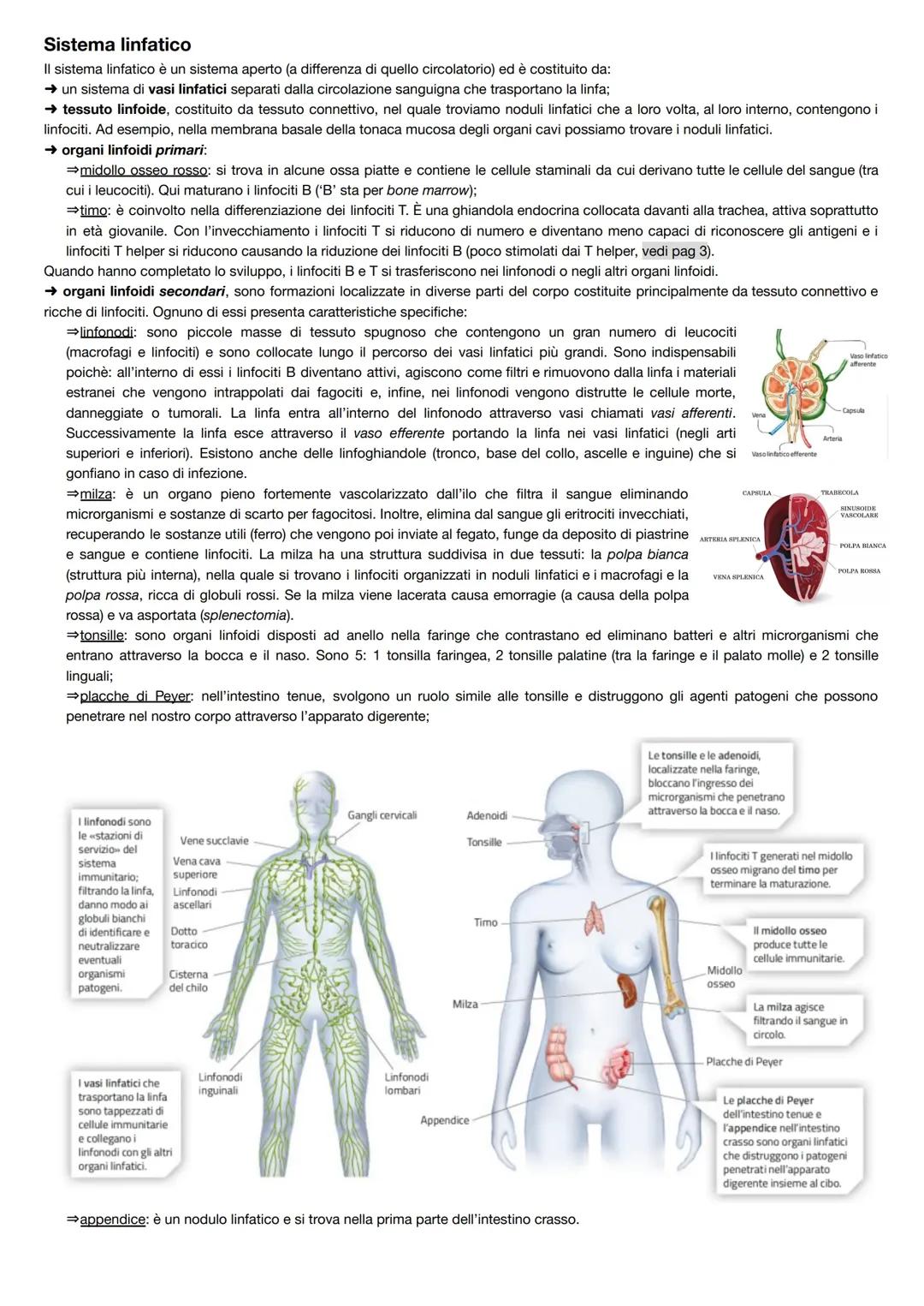 Sistema linfatico e sistema immunitario