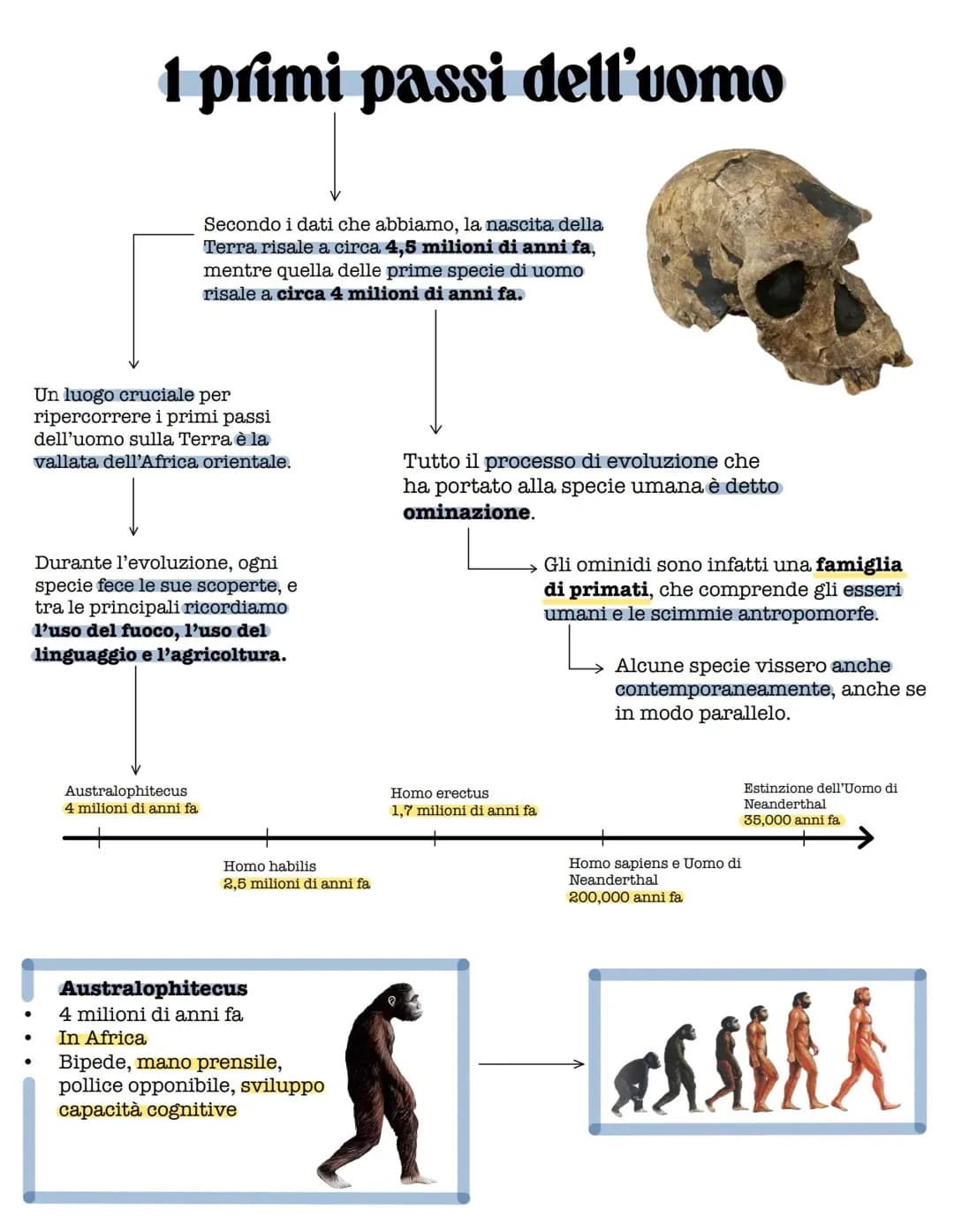 evoluzione umana nell’età della pietra