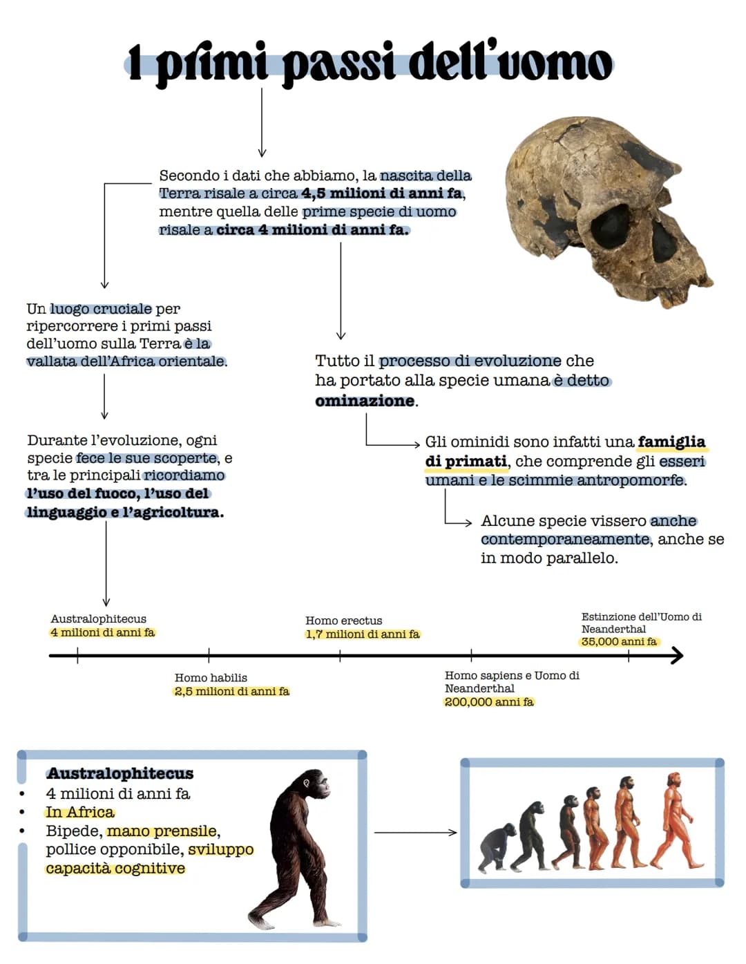 1 primi passi dell'uomo
Secondo i dati che abbiamo, la nascita della
Terra risale a circa 4,5 milioni di anni fa,
mentre quella delle prime 