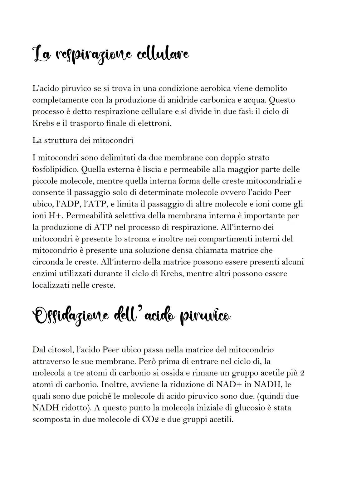 La glicelisi
Durante la glicolisi una molecola di glucosio che contiene sei atomi di carbonio
viene scissa in due molecole contenenti tre at