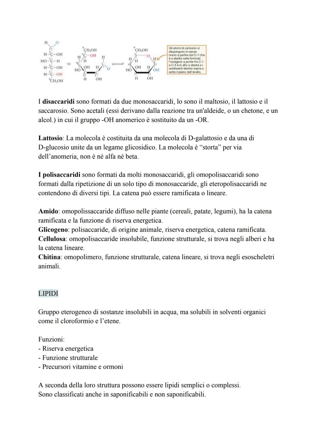 Biochimica
La biochimica si occupa dei viventi, comprende lo studio delle biomolecole, la
loro organizzazione, le interazioni e le trasforma