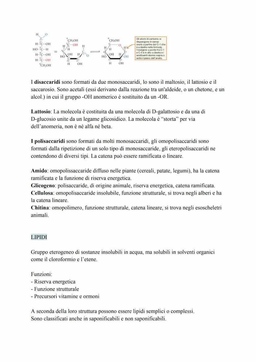 Biochimica
La biochimica si occupa dei viventi, comprende lo studio delle biomolecole, la
loro organizzazione, le interazioni e le trasforma