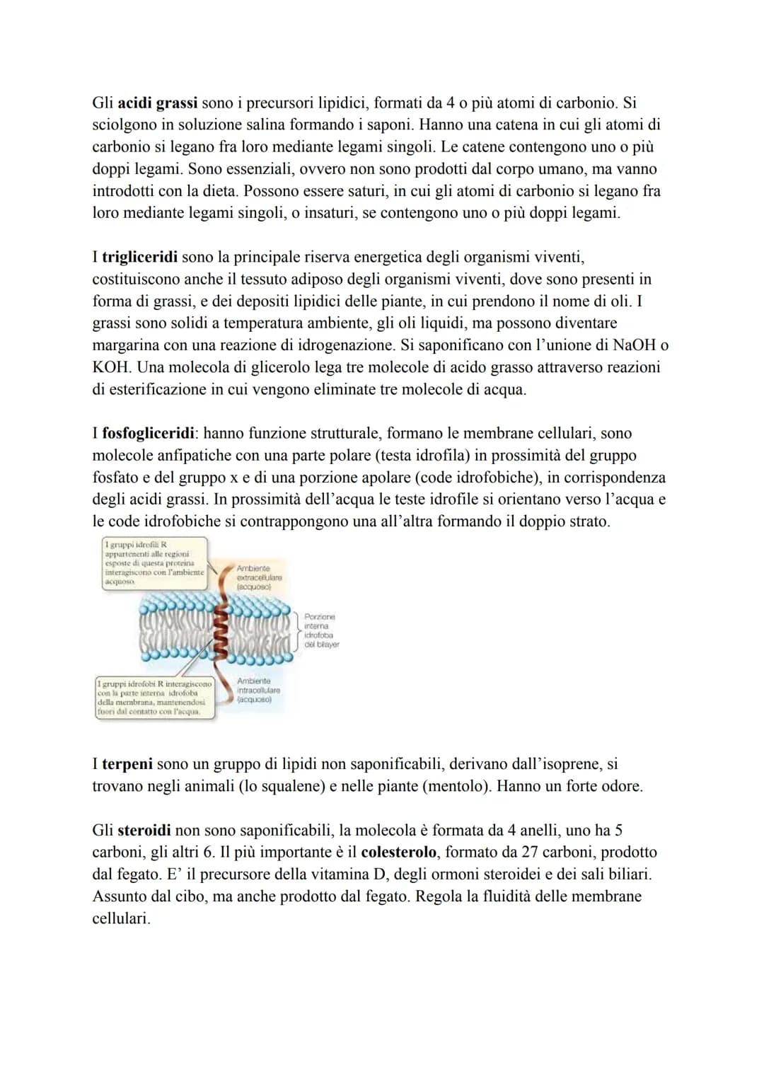 Biochimica
La biochimica si occupa dei viventi, comprende lo studio delle biomolecole, la
loro organizzazione, le interazioni e le trasforma