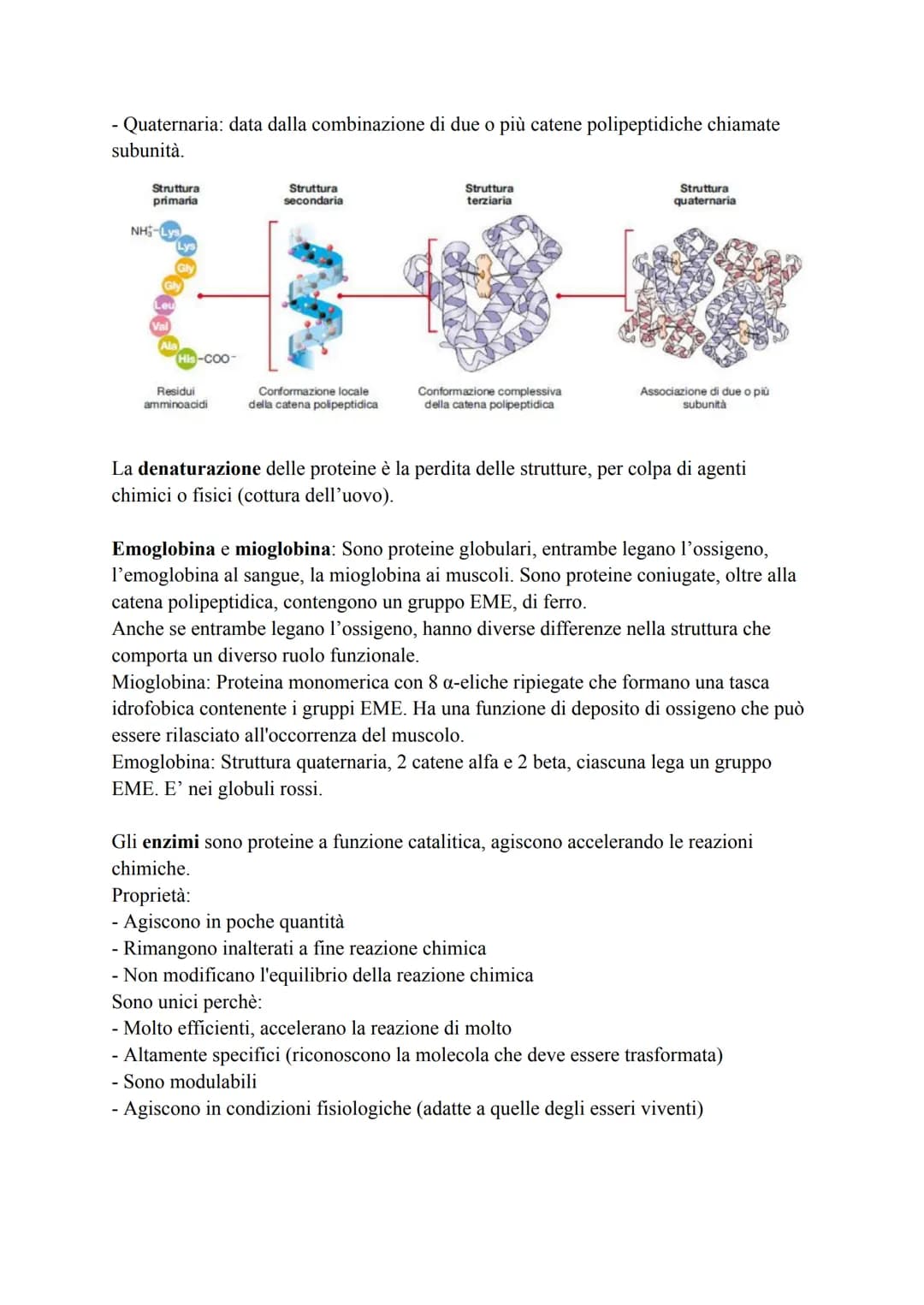 Biochimica
La biochimica si occupa dei viventi, comprende lo studio delle biomolecole, la
loro organizzazione, le interazioni e le trasforma