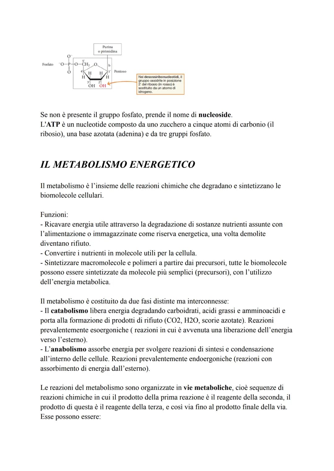 Biochimica
La biochimica si occupa dei viventi, comprende lo studio delle biomolecole, la
loro organizzazione, le interazioni e le trasforma