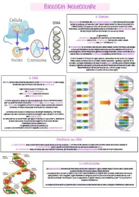 Know Biologia-DNA,RNA, genoma,meiosi thumbnail