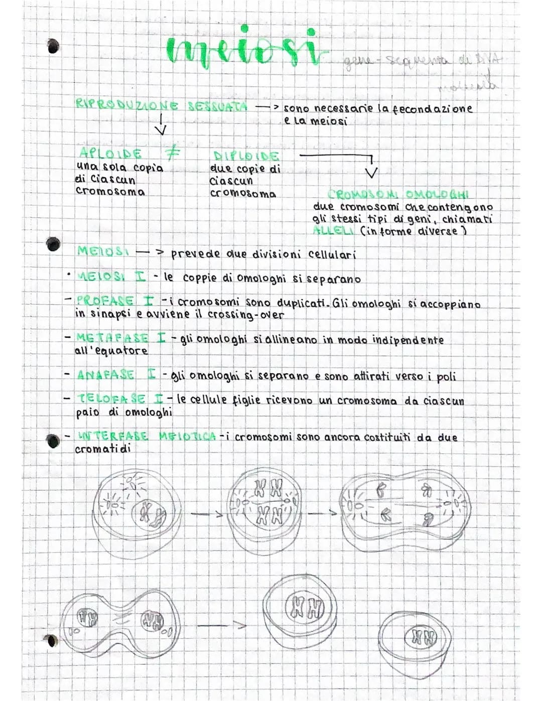 divisione
Divisione
L.
comprende la nascita di
RECUNE BO.contenenti
parti dei materiali della
cellula madre
la divisione coincide con
la rip