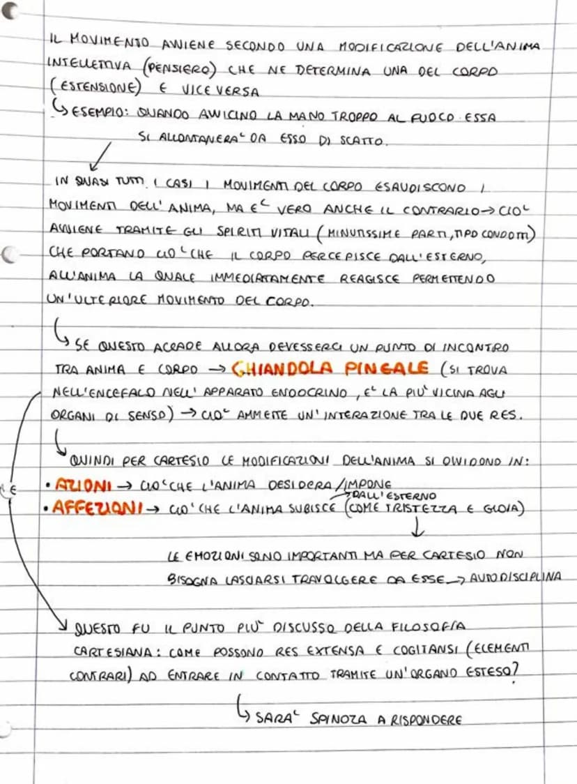 6
CARTESIO RENE" DECARTES.
E SCIENZIATO, FIGUO
DI UNA
FU UN IMPORTANTE FILO SOFO
GRANDE FAMIGUIA NOBILE. STUDIO `NEL COLLEGIO GESUITICO DI L