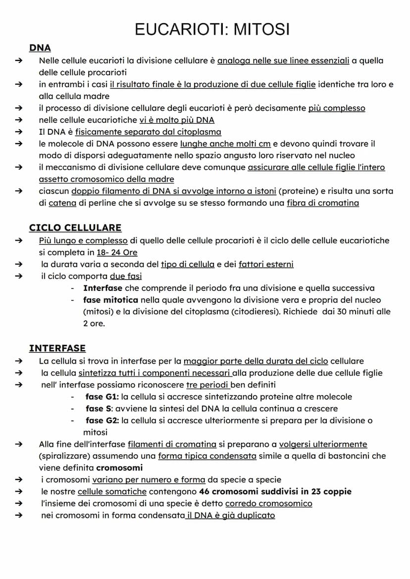 ↑
↑
DIVISIONE CELLULARE
Quando si riproducono, le cellule fanno una copia di se stesse dividendosi in due parti
dotate delle stesse componen