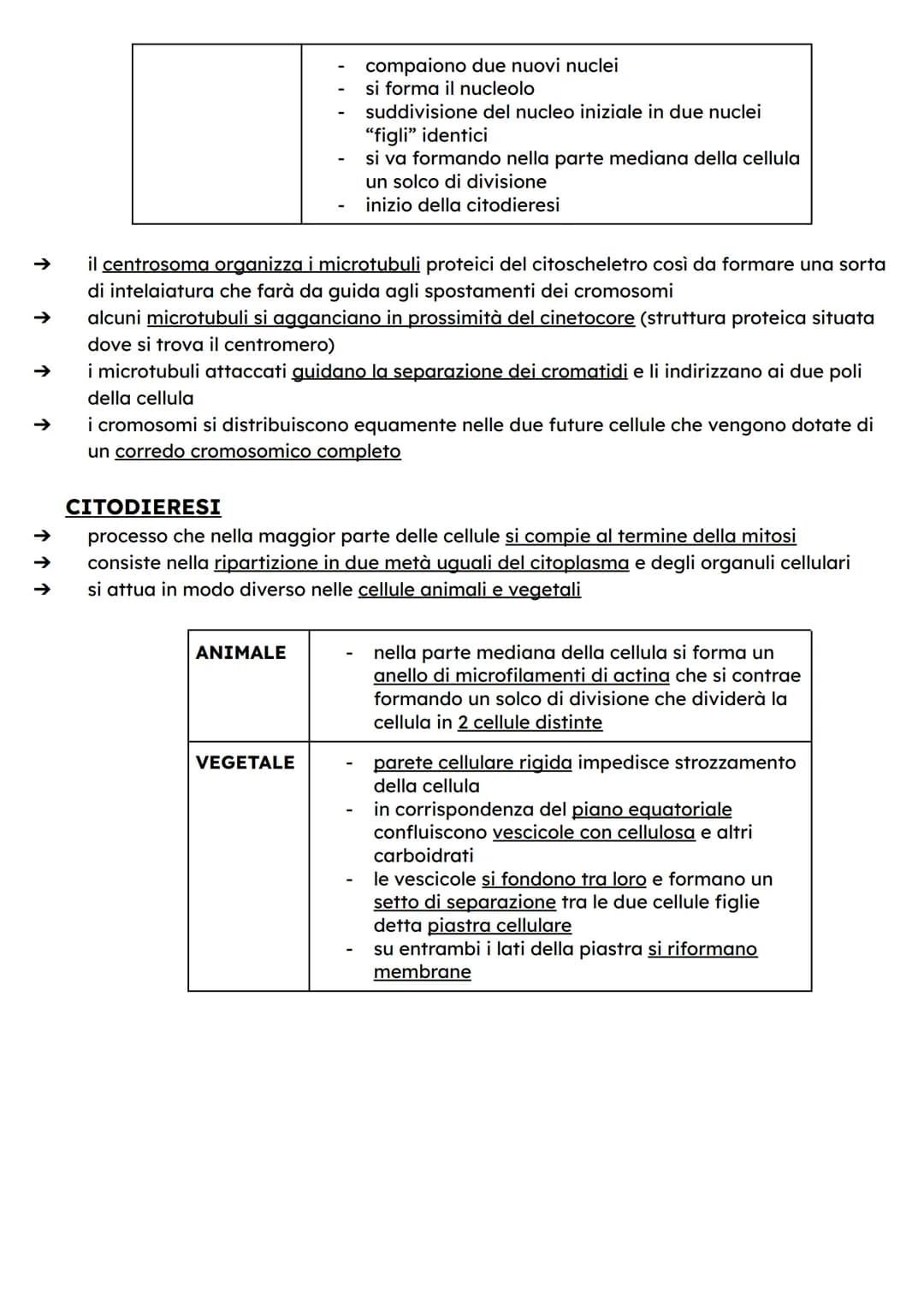 ↑
↑
DIVISIONE CELLULARE
Quando si riproducono, le cellule fanno una copia di se stesse dividendosi in due parti
dotate delle stesse componen