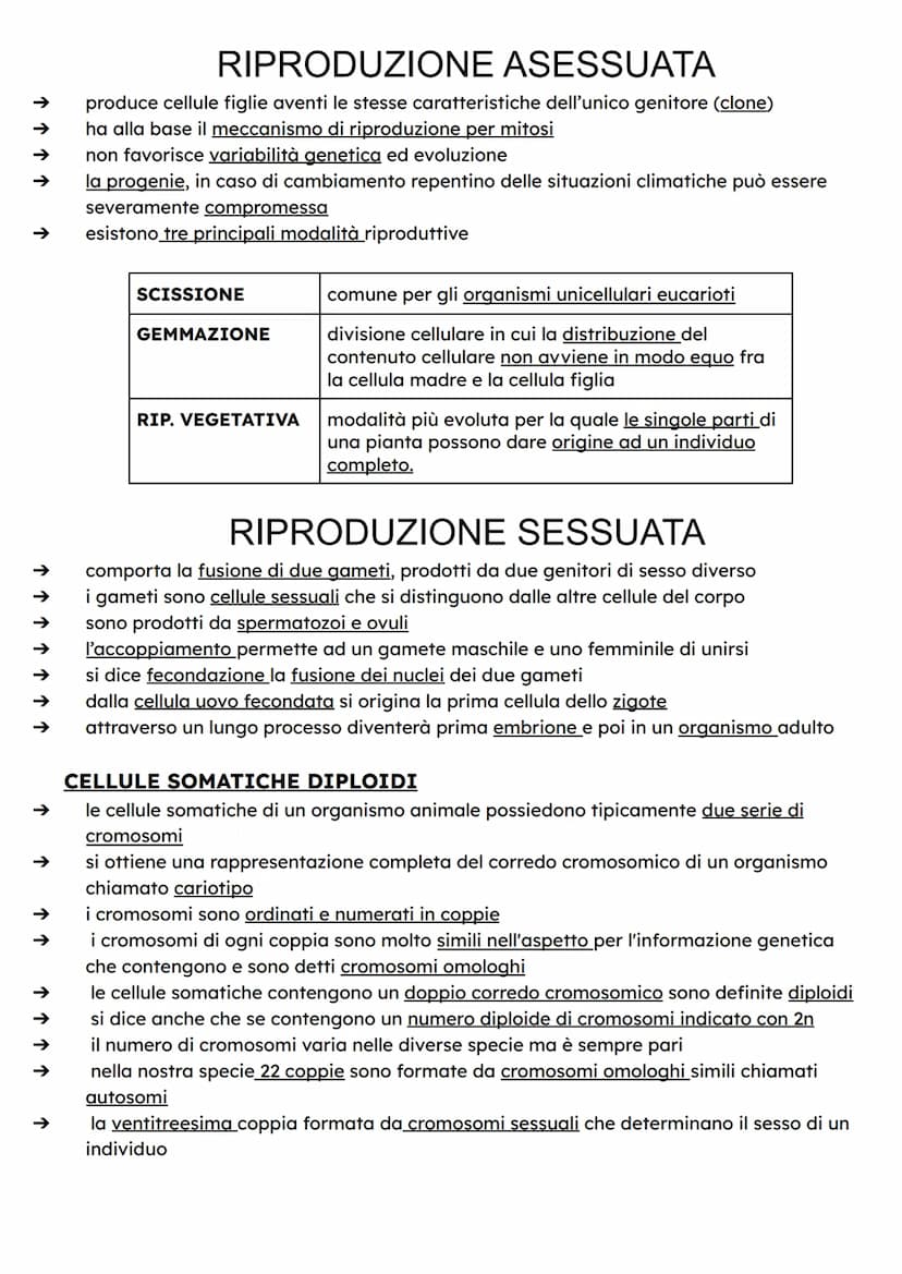 ↑
↑
DIVISIONE CELLULARE
Quando si riproducono, le cellule fanno una copia di se stesse dividendosi in due parti
dotate delle stesse componen