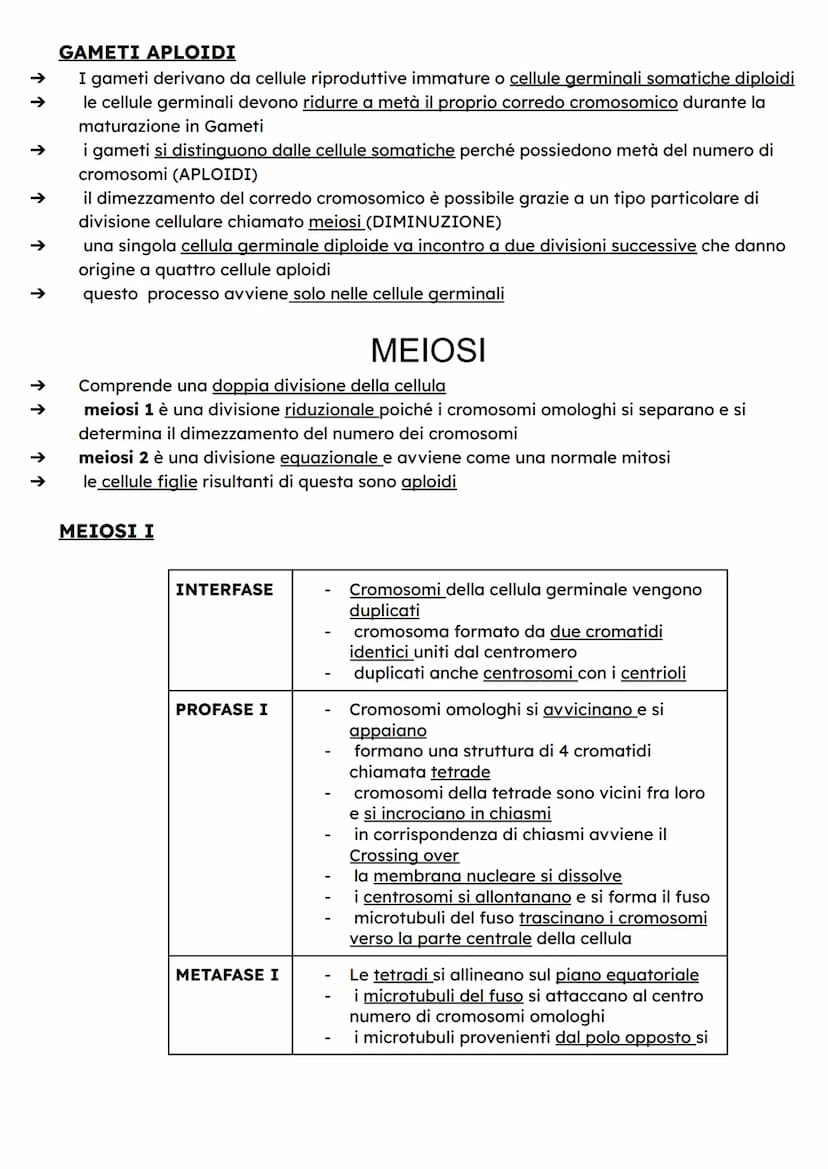↑
↑
DIVISIONE CELLULARE
Quando si riproducono, le cellule fanno una copia di se stesse dividendosi in due parti
dotate delle stesse componen