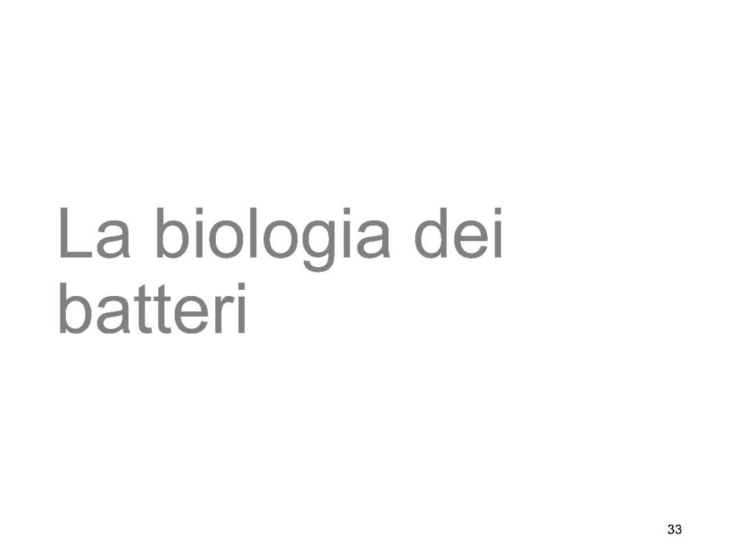 Introduzione ai Batteri: Biologia e Caratteristiche