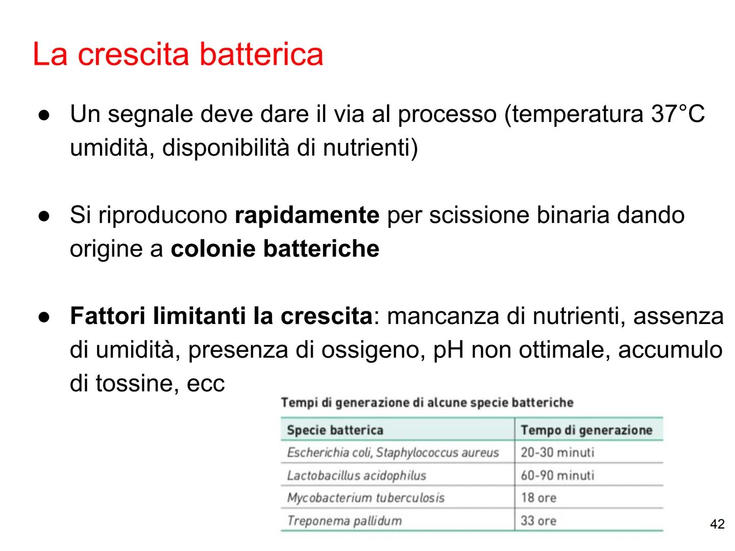 La biologia dei
batteri
33 Dimensioni, forma e aggregazioni dei batteri
Dimensioni
diametro: 0,1 - 2 µm, lunghezza: 0,1 - 10 µm
elevato rapp