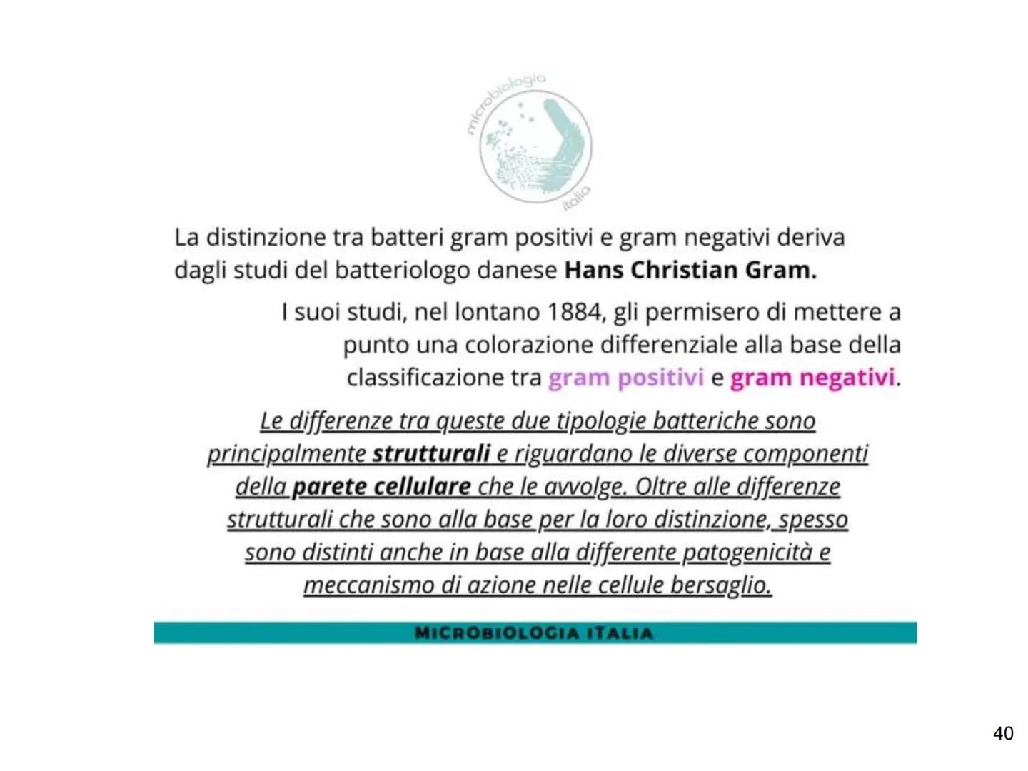 La biologia dei
batteri
33 Dimensioni, forma e aggregazioni dei batteri
Dimensioni
diametro: 0,1 - 2 µm, lunghezza: 0,1 - 10 µm
elevato rapp