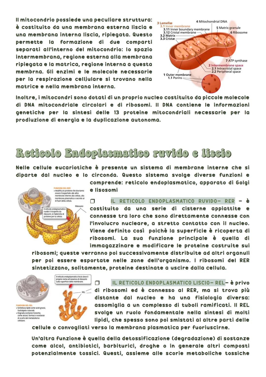 La biosfera è la parte del pianeta terrestre in cui vivono tutte le forma di vita.
Tutti gli esseri viventi hanno delle caratteristiche in
c